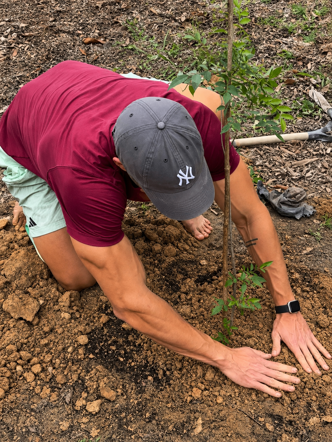 André planting a young tree